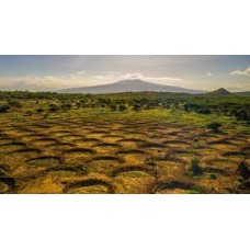 Samsung Galaxy Buds 2 Pro